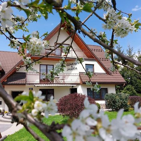Czarna Jagoda Czarna Góra Exterior foto