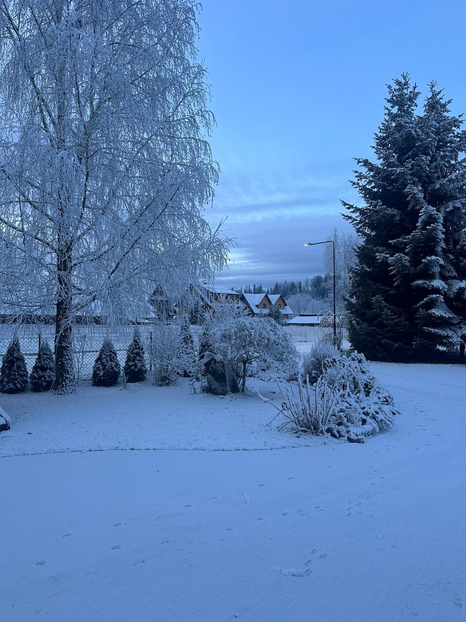 Czarna Jagoda Czarna Góra Exterior foto